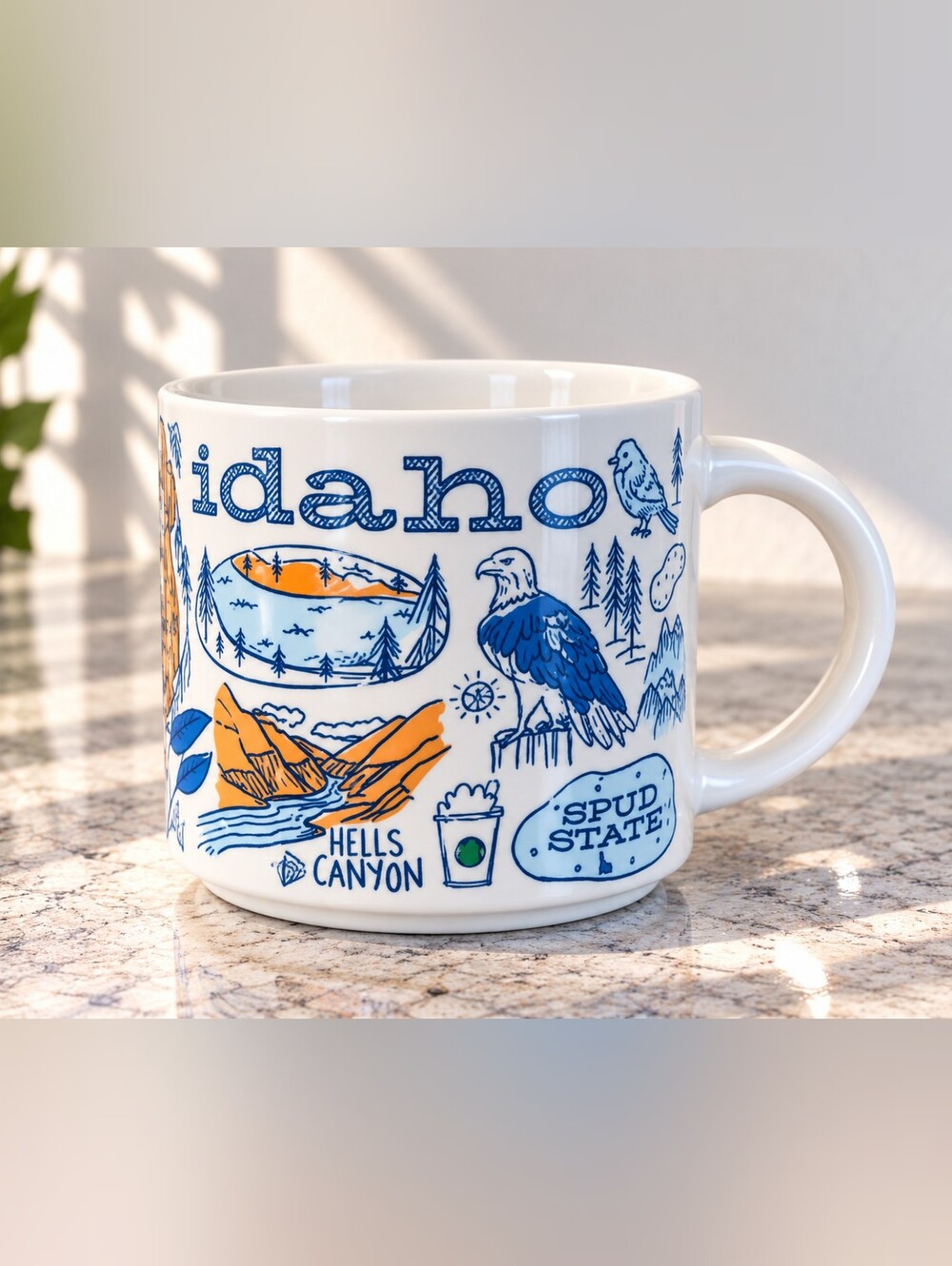 Starbucks Idaho Been There Series 14 oz Mug 2019 Shoshone Falls Collectible